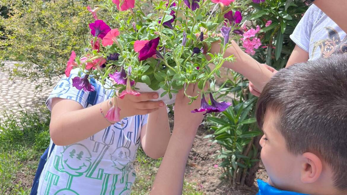 “Cerchiara in fiore”, il progetto della Medihospes per favorire inclusione fra le scuole e i bimbi del SAI